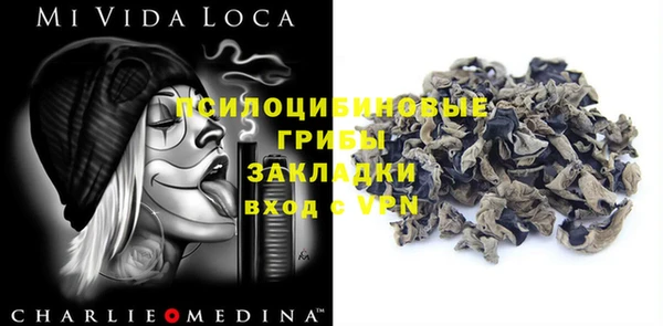 эйфоретик Алзамай