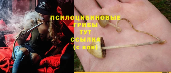 прущие грибы Алексеевка
