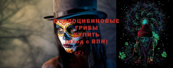 прущие грибы Алексеевка
