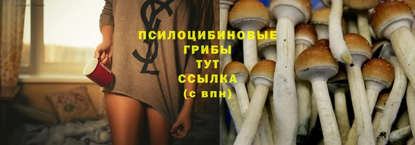 эйфоретик Алзамай