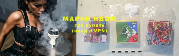 прущие грибы Алексеевка