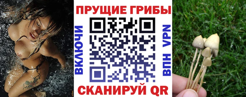 Псилоцибиновые грибы мицелий  мега ссылка  Лениногорск 