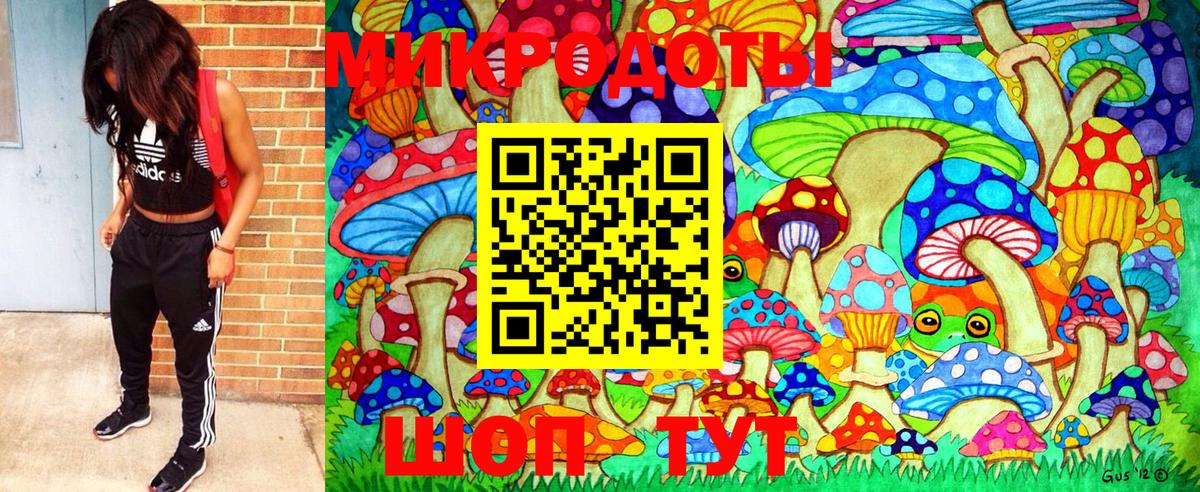 Лениногорск  Псилоцибиновые грибы Psilocybe  Вход с VPN  Галлюциногенные грибы GOLDEN TEACHER 