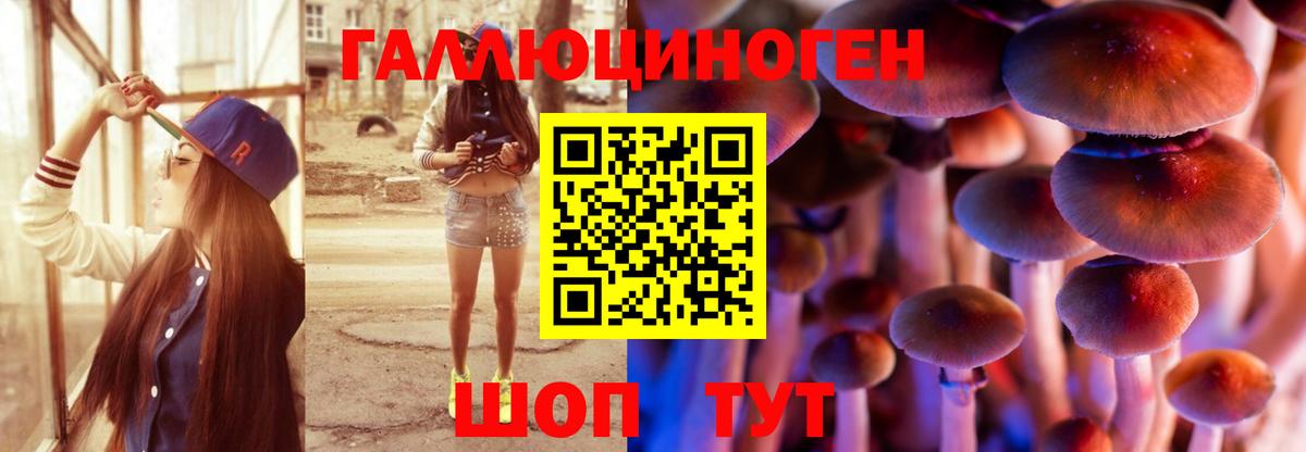 Псилоцибиновые грибы мицелий Лениногорск